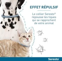 Seresto Collier Antiparasitaire Chat -Royal Canin Boutique serestochatchien 1