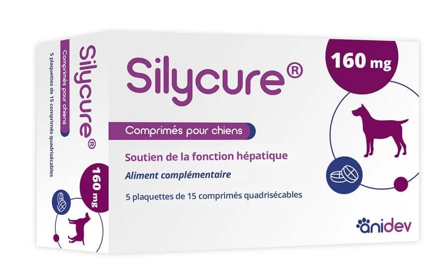 Silycure 160 Mg Chien Moyen Et Grand 75 Cps 1 Silycure 160 Mg Chien Moyen Et Grand 75 Cps