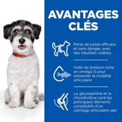 Hill's Science Plan Hill's Science Plan Perfect Weight Mobility Petit Chien 6 Kg 6 Hill's Science Plan Hill's Science Plan Perfect Weight Mobility Petit Chien 6 Kg -Royal Canin Boutique sp mini 1