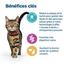 Vet Essentials Chat Multi-Benefit + Dental Adult 1+ Poulet 14 Vet Essentials Chat Multi-Benefit + Dental Adult 1+ Poulet -Royal Canin Boutique vet essentials chat multi benefit dental adult 1 poulet 5