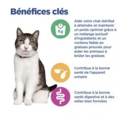 Vet Essentials Chat Multi-Benefit + Weight Adult Poulet Sachets Repas -Royal Canin Boutique vet essentials chat multi benefit weight adult poulet sachets repas 7