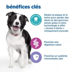 Vet Essentials Chien Multi-Benefit + Dental Adulte + Medium & Large Poulet -Royal Canin Boutique vet essentials chien multi benefit dental ad 1 medla po 4