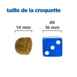 Vet Essentials Chien Multi-Benefit + Dental Adulte + Medium & Large Poulet -Royal Canin Boutique vet essentials chien multi benefit dental ad 1 medla po 5