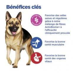 Vet Essentials Chien Multi-Benefit + Digestion Adulte+ Large Breed -Royal Canin Boutique vet essentials chien multi benefit digestion ad1 lar br sac de 14 kg 5