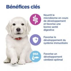 Vet Essentials Chien Multi-Benefit Puppy Large Breed Poulet -Royal Canin Boutique vet essentials chien multi benefit puppy large breed poulet 5