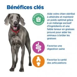 Vet Essentials Chien Multi-Benefit + Weight Adult + Large Breed Poulet -Royal Canin Boutique vet essentials chien multi benefit wei adult 1 larb po 3
