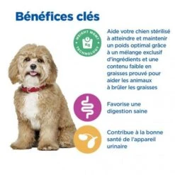 Vet Essentials Chien Multi-Benefit + Weight Adult 1+ Small & Mini Poulet -Royal Canin Boutique vet essentials chien multi benefit wei adult 1 smm po 3
