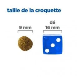 Vet Essentials Chien Multi-Benefit + Weight Adult 1+ Small & Mini Poulet -Royal Canin Boutique vet essentials chien multi benefit wei adult 1 smm po 4