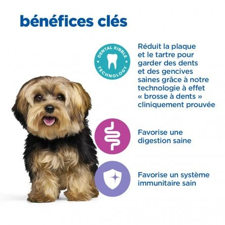 Vet Essentials Chien Multi-Benefit+Dental Adult 1+ Small & Mini 5 Vet Essentials Chien Multi-Benefit+Dental Adult 1+ Small & Mini – Image 5