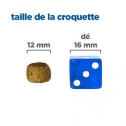 Vet Essentials Chien Multi-Benefit+Dental Adult 1+ Small & Mini 13 Vet Essentials Chien Multi-Benefit+Dental Adult 1+ Small & Mini -Royal Canin Boutique vet essentials chien multi benefitdental adult 1 sm mp 5