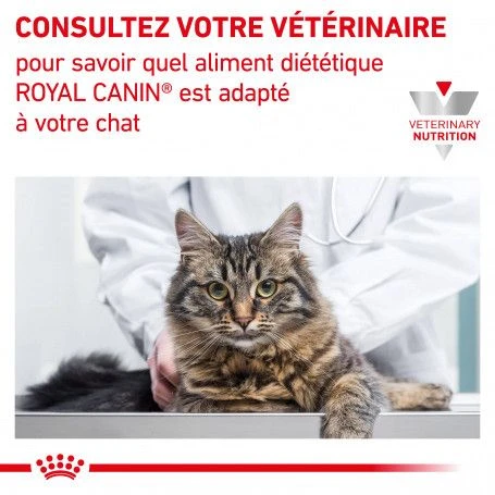 ROYAL CANIN Veterinary Health Nutrition Cat Mobility 8 ROYAL CANIN Veterinary Health Nutrition Cat Mobility – Image 8