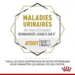 ROYAL CANIN Veterinary Health Nutrition Cat Mobility 18 ROYAL CANIN Veterinary Health Nutrition Cat Mobility -Royal Canin Boutique veterinary diet cat mobility 8