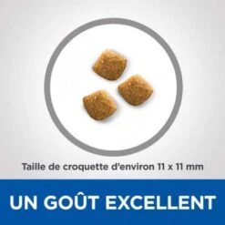 Vet Essentials Feline Young Adult Dental Health -Royal Canin Boutique vetessentials feline young adult dental health 3