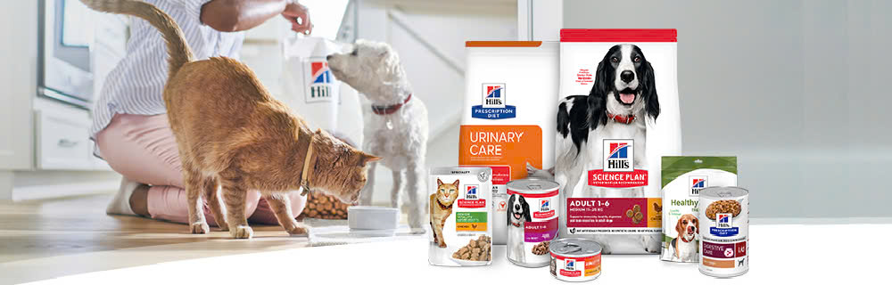 Royal Canin Boutique -Royal Canin Boutique z6579119856550 c4aa3654dd22ac3bf3b3f9cf6bc03f08